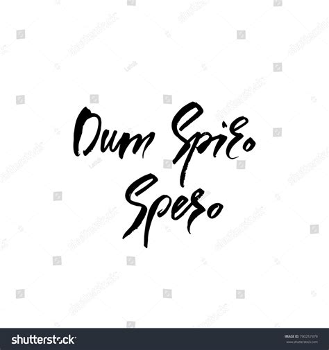 Dum Spiro Spero Latin Phrase Translation Stock Vector (Royalty Free ...
