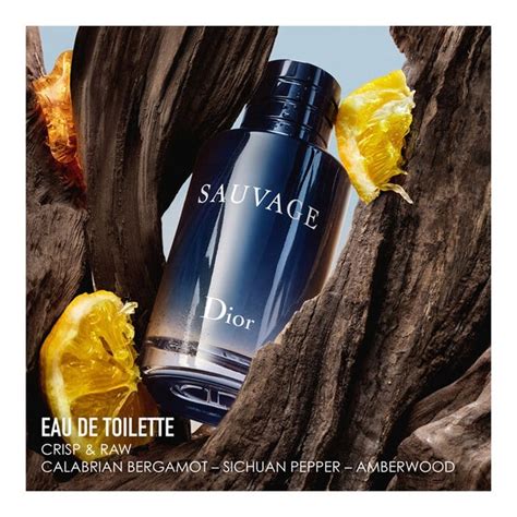 Sauvage Eau De Toilette • 60ml