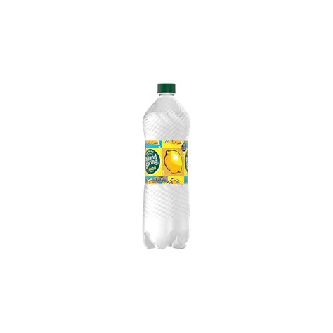 Sparkling Poland Spring Brand Natural Spring Water, India | Ubuy