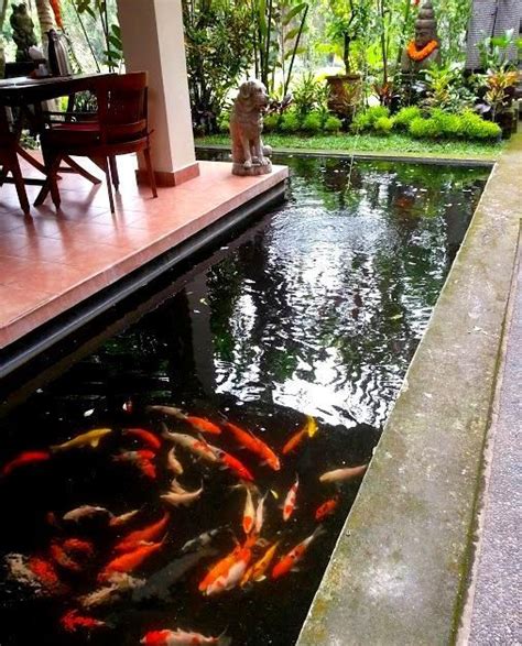 私家花园鱼塘合集，别墅庭院里的养鱼池也得有颜值！