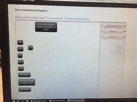 Image result for The Complement System Concept Map