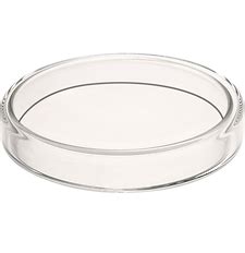 Culture Media | Maat Biotech Pvt. Ltd.