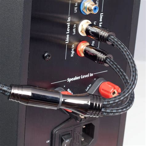 Pangea Xtreme Flexible Y Adapter RCA Interconnect — The Audio Co.
