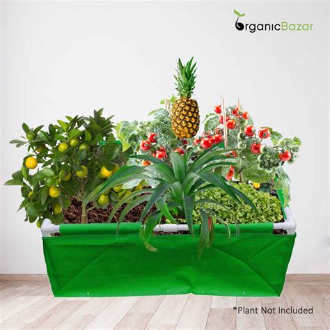 HDPE 36x24x12 Rectangle Grow Bag With Supporting Pvc Pipes Extra Thick ...