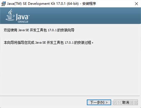 Java Software 的图像结果