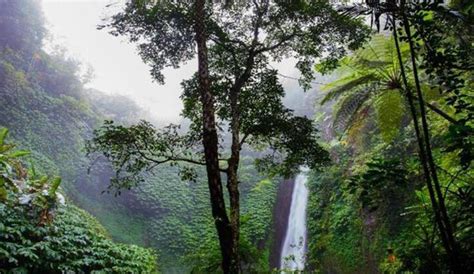 Chunnu Waterfalls, Darjeeling | WhatsHot Kolkata