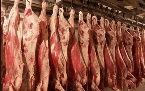 中乌签订乌克兰冷冻牛肉输华检疫和兽医卫生条件议定书,乌克兰牛肉获准进入中国市场