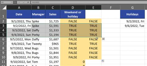 Image result for Date Conditional Formatting Excel