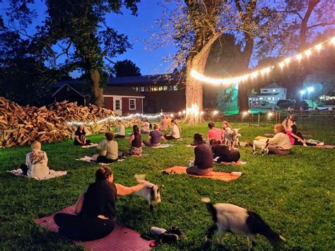 Strawberry Fully Moon Goat Yoga, Chip-In Farm, Bedford, 11 June 2025 ...