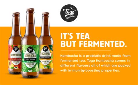 Toyo Kombucha-Sparkling Fermented Green Tea|Original|330Ml (Pack Of 6 ...