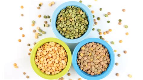 What Is Plant-Based Protein? – Panchamrit