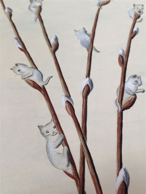 American Pussy Willow Tree