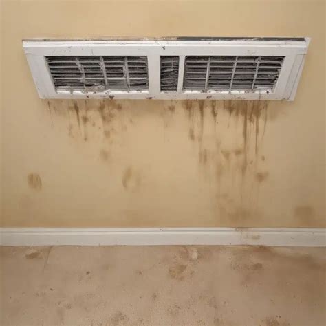 Dangerous Mold in AC Systems - Construction Tradex - Your Construction Info