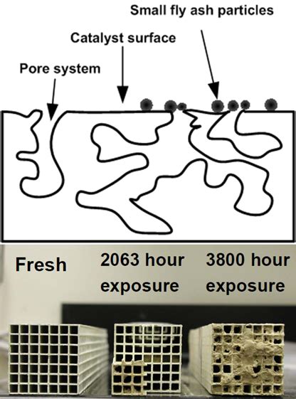 Test SCR System 的图像结果