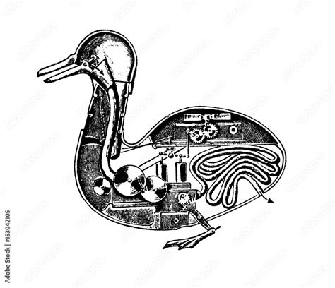 Image result for Digesting Duck