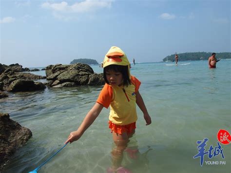 广州9岁女生横渡琼州海峡 惊人毅力从何而来？