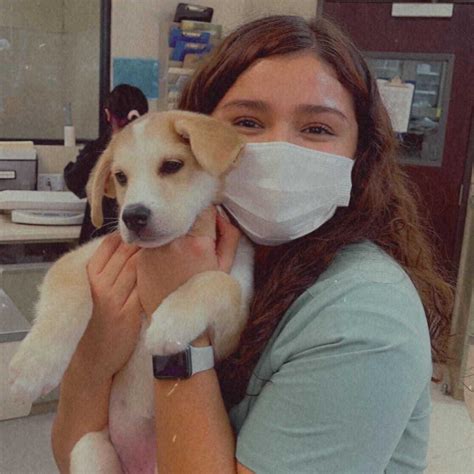 Gallery in North Las Vegas, NV | Ann Road Animal Hospital