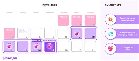 Ovulation Process Day By Day