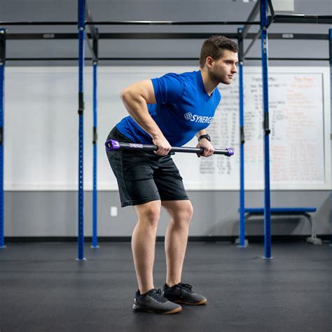 Buy Synergee Workout Bar - 5lb - Padded Weighted Bars ? Body Bar Toning ...