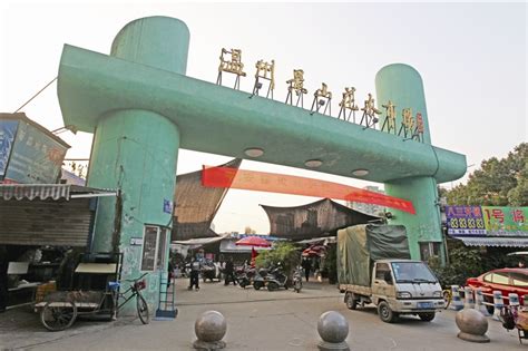 游杭州发现萧山有个浙江最大花木市场，逛逛很有趣