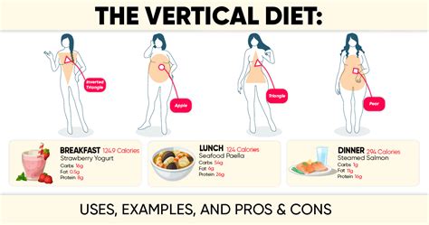 Vertical Diet Explained 的图像结果