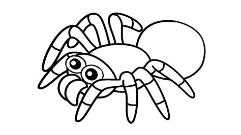 10 Jenis Laba-laba dengan Corak Paling Cantik dan Unik