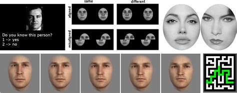 Image result for Face Blind Test