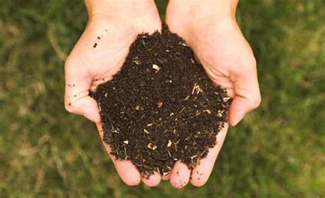 Image result for Soil Sampling
