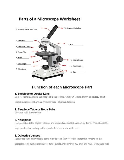 HISTOLOGY NOTES - Function of each Microscope Part 1. Eyepiece or ...