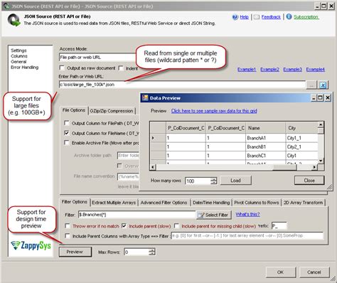SSIS JSON Primitive Error 的图像结果