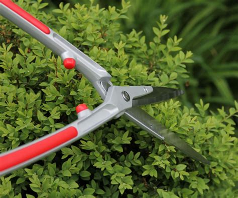 Best hedge shears – a garden product tester reveals the best | Homes ...
