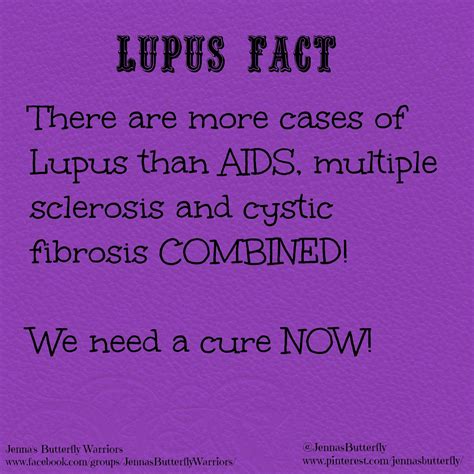 the lupus foundation