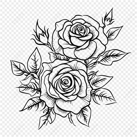 Black And White Drawing Of Flower Roses Outline Sketch Vector Children ...