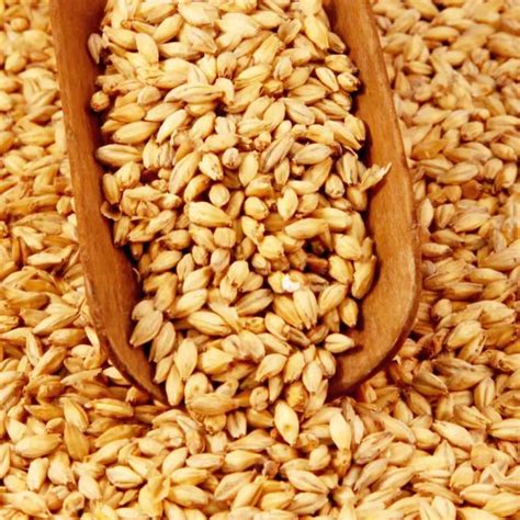 HOME [www.tansga.com]