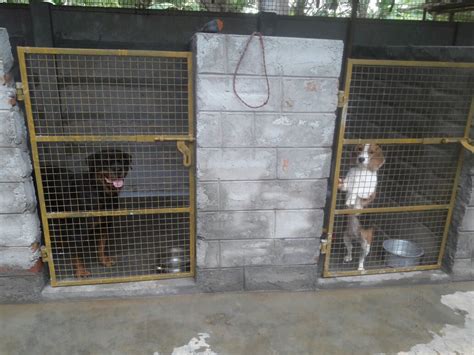 V W Pets Farm in Velacheri,Chennai - Best Pet Shops near me in Chennai ...