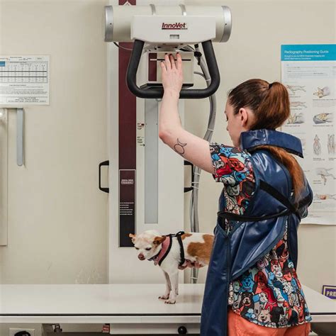 Radiology/Ultrasound