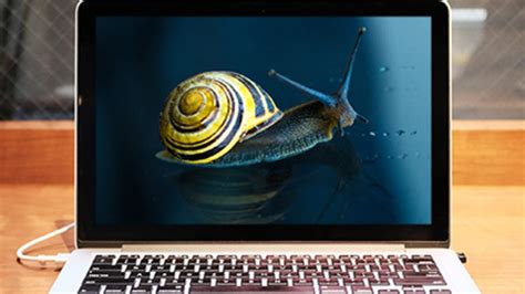 Computer Sluggish 的图像结果