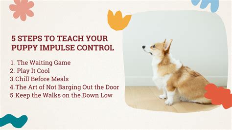 Impulse Control Exercises for Dogs 的图像结果