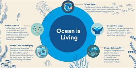 A new wave in recognizing the Ocean’s vital role | Waterloo News | University of Waterloo