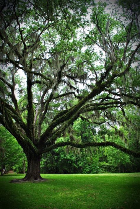 People in Places Photography 的图像结果