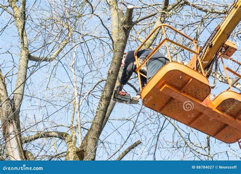 Image result for Chainsaw Tree Fall