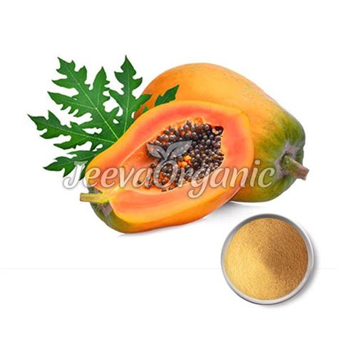 Bulk Organic Papaya Fruit Powder Supplier