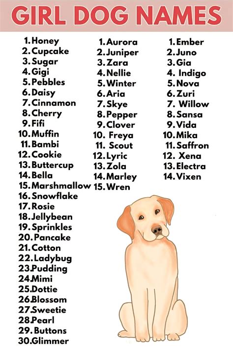Girl dog names – Artofit