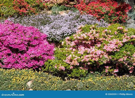 Image result for Springtime Garden