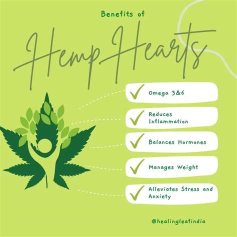 Healing Leaf - Hemp Hearts | Hemp Nutrition | CBD Store India