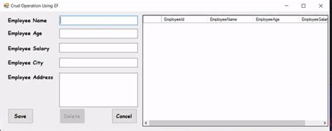 CRUD Operation In Windows Form App Using The Entity Framework