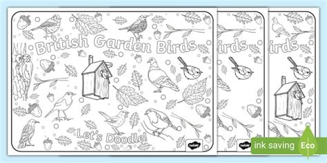 British Garden Birds Doodle Colouring Pages