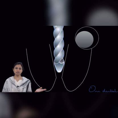 Products tagged with 'cleaning and shaping'-One Dental is the Biggest ...