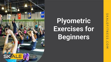 Best 4 Plyometric Exercises for Beginners | Skale Fitness