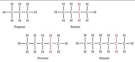 Chemistry Class 10th question Draw 10 alkane structure - Brainly.in